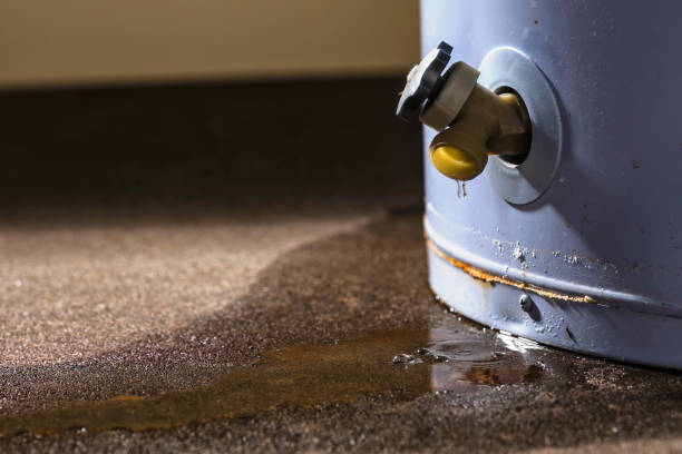 Best Residential water damage restoration  in Mangonia Park, FL