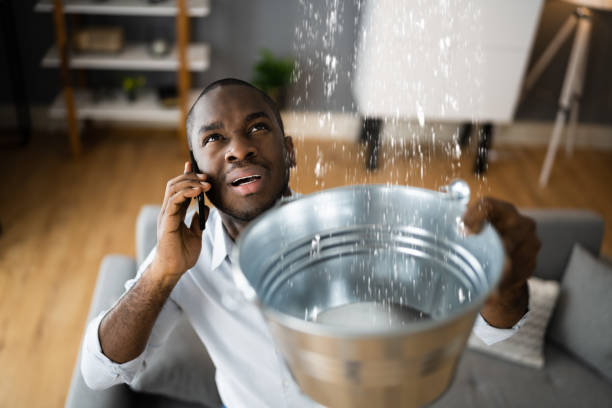 Best 24-hour water damage restoration  in Mangonia Park, FL