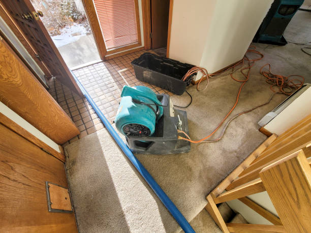 Best Ceiling water damage repair  in Mangonia Park, FL