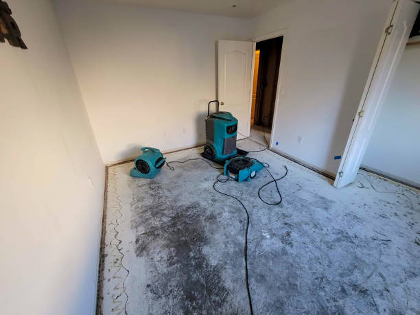 Best Carpet water damage restoration  in Mangonia Park, FL