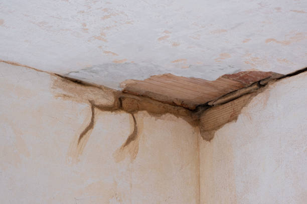 Best Commercial water damage restoration  in Mangonia Park, FL