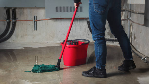 Best Flood restoration services  in Mangonia Park, FL