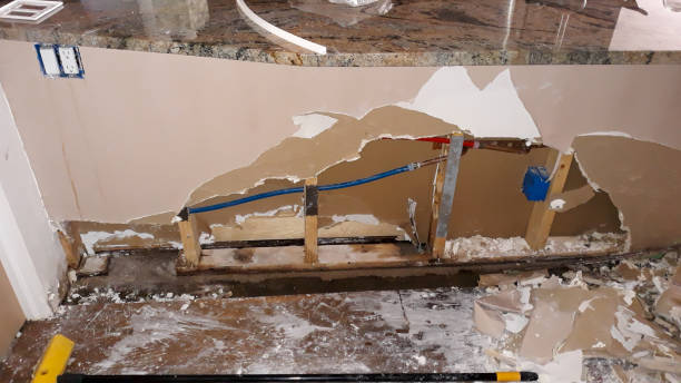 Best Water damage contractors near me  in Mangonia Park, FL