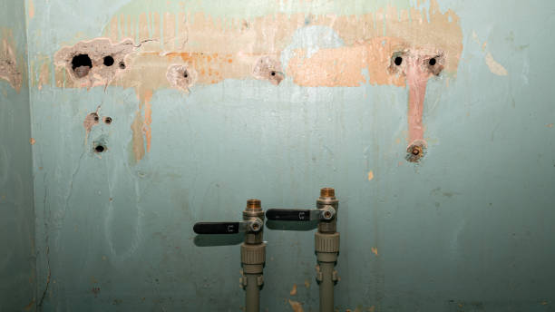 Water damage restoration process in Mangonia Park, FL