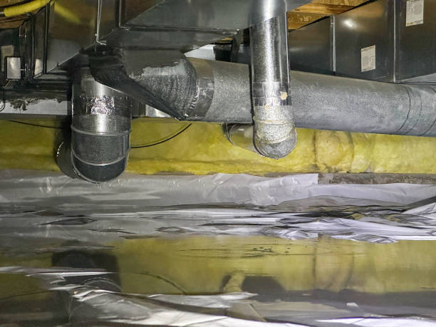 Best Basement water damage restoration  in Mangonia Park, FL