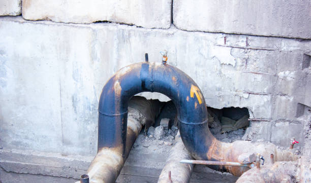 Best 24/7 water damage repair  in Mangonia Park, FL