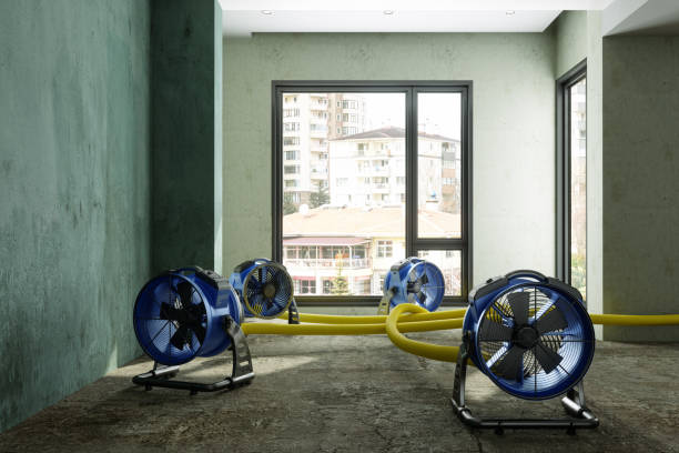 Best Carpet water damage restoration  in Mangonia Park, FL