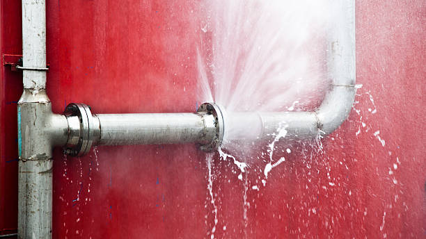 Best Sewage cleanup and water damage restoration  in Mangonia Park, FL