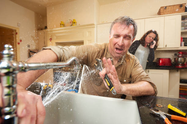 Best Water damage cleanup near me  in Mangonia Park, FL